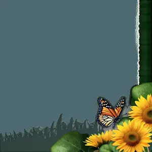 Nature Frame PNG efb