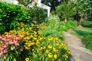 a garden with flowers and bushes