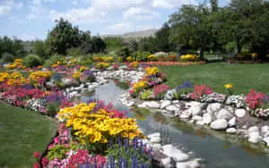 a garden with a stream and colorful flowers