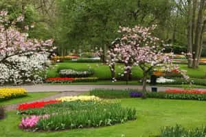 a park with many colorful flowers