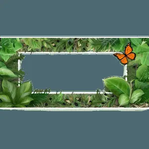 Nature Inspired Photo Border PNG tvo46