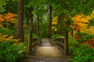"The beauty of nature in all its glory"