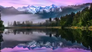 "Glimpse of Nature's Beauty" 