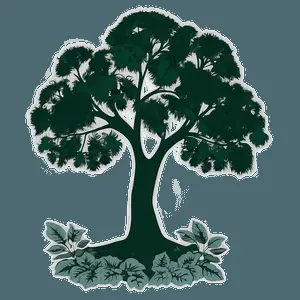 Nature Outline Silhouette PNG 06292024