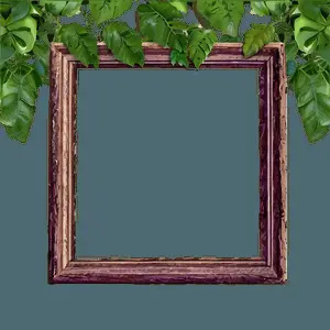 Nature Photo Frame PNG wcl