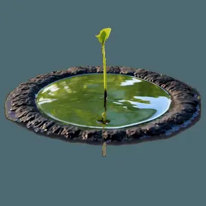 Nature Puddle PNG xcl11