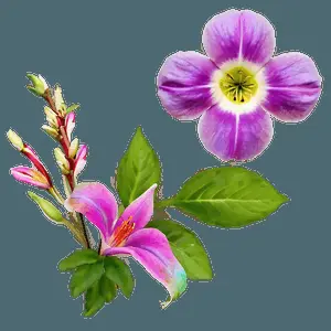 "Nature's Art: Delicate Flower PNG" d