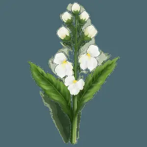 "Nature's Sketch: Detailed Flower PNG" c