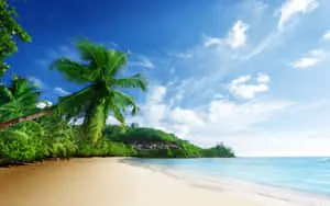 Revel in the Splendor of Nature's View