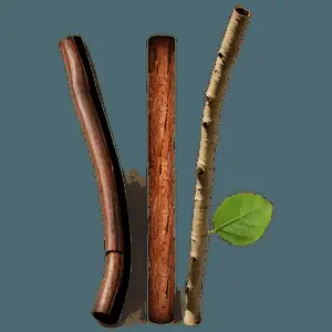 Nature Sticks PNG 26