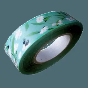 Nature Tape Aesthetic PNG 89