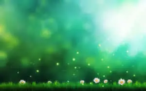 Nature Themed Background Image