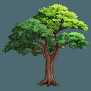 Nature Tree Top Layer PNG nxf