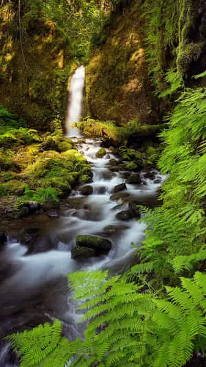 Enjoy the Beauty of Nature