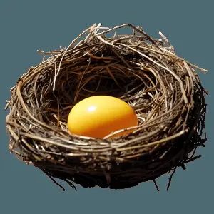 Nest in Sunlight PNG 40