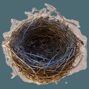 Nest in Sunset PNG bbq76