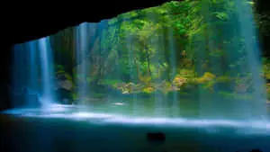 Forest Nature Waterfall Nice Desktop