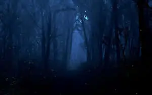 Delve Deep Into The Mystical Night Forest