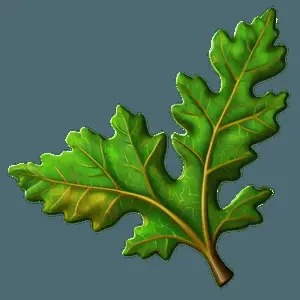 Oak Leaf Wallpaper PNG 86