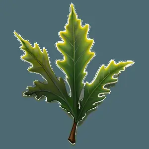 Oak Leaf Wallpaper PNG jfb86