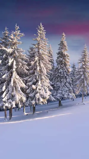 An expansive panoramic view of nature in all its glory 