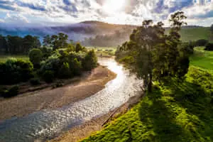 River Forest Beautiful Paradise Picture