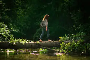 People In Nature Tree Log Picture