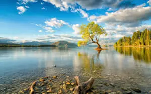 The Magic of Nature