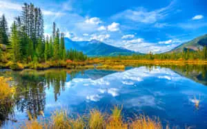 Capturing the Beauty of Nature