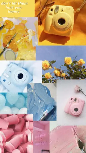 a collage of pictures of flowers, a camera, and a camera