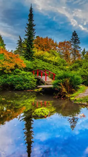 Portrait Pond View