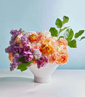 Pretty Peony Flowers Picture