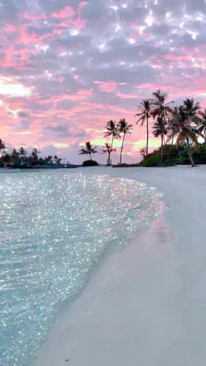 Beauty is Everywhere