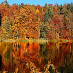 The beautiful beauty of nature 
