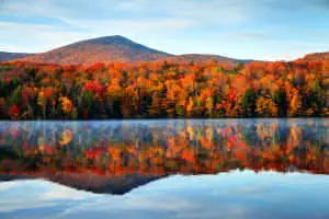 Let this Pretty Picture be a Reminder of the Beauty of Nature 