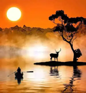 Dear Sunset Silhouette Pretty Profile Picture