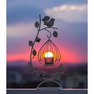 Birdcage Sunset Pretty Profile Picture