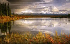 Quiet Lake On A Cloudy Day