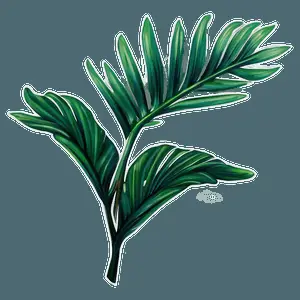 Realistic Tropical Leaf Graphic PNG 99