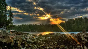 Enjoy the scenic beauty of a peaceful rock river