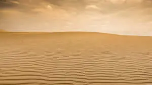 Sahara Desert Sand Horizon