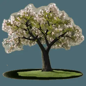 Sakura Tree with Farmhouse Scenery PNG 06122024