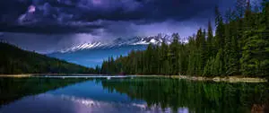 Enjoy a pristine blue-tinted natural scenery with a 3440x1440 ultra-wide