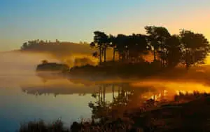 Enjoy the Beauty of Nature