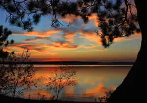 Enjoy Nature's Beauty Every Day 