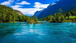 Discover the bliss of nature's beauty
