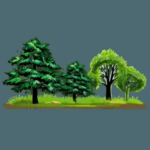 Scenic Tree Line Art PNG 45