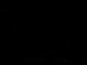 Silhouetteof Crow