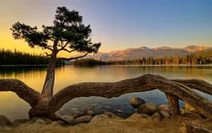 Soothing Nature Wallpaper