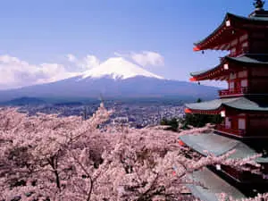 Pagoda Fuji With Cherry Blossoms Spring Background